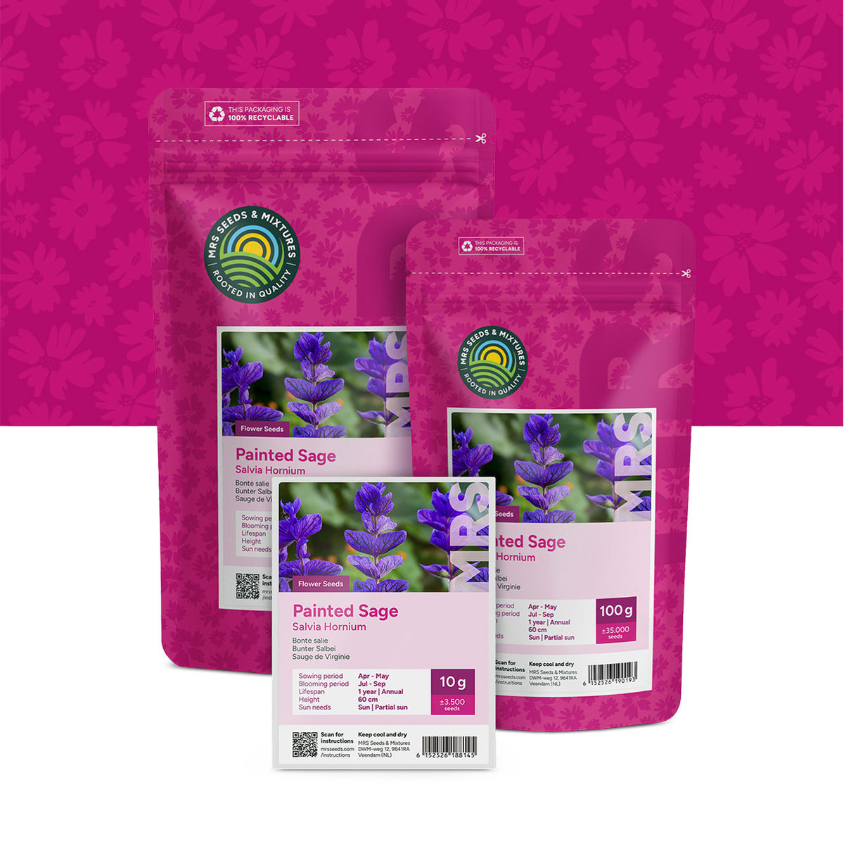 Bonte Salie – Salvia horminum