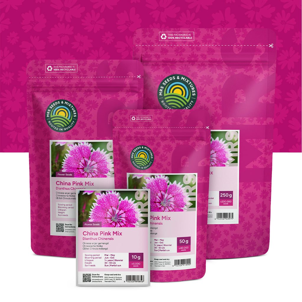 Chinese Anjer gemengd – Dianthus chinensis