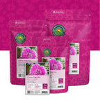 Chinese Anjer gemengd – Dianthus chinensis