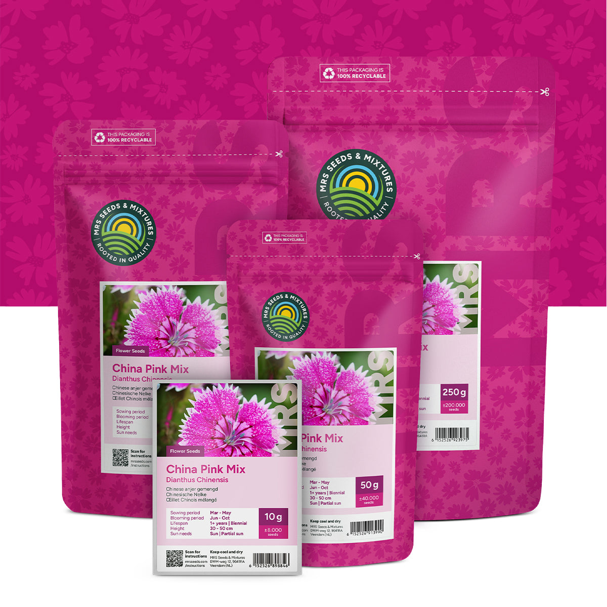 Chinese Anjer gemengd – Dianthus chinensis