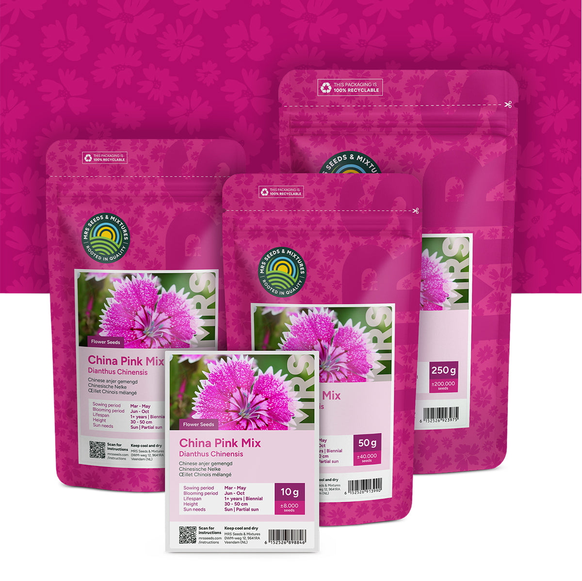 Chinese Anjer gemengd – Dianthus chinensis
