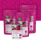 Cosmea – Cosmos Sensation Mix