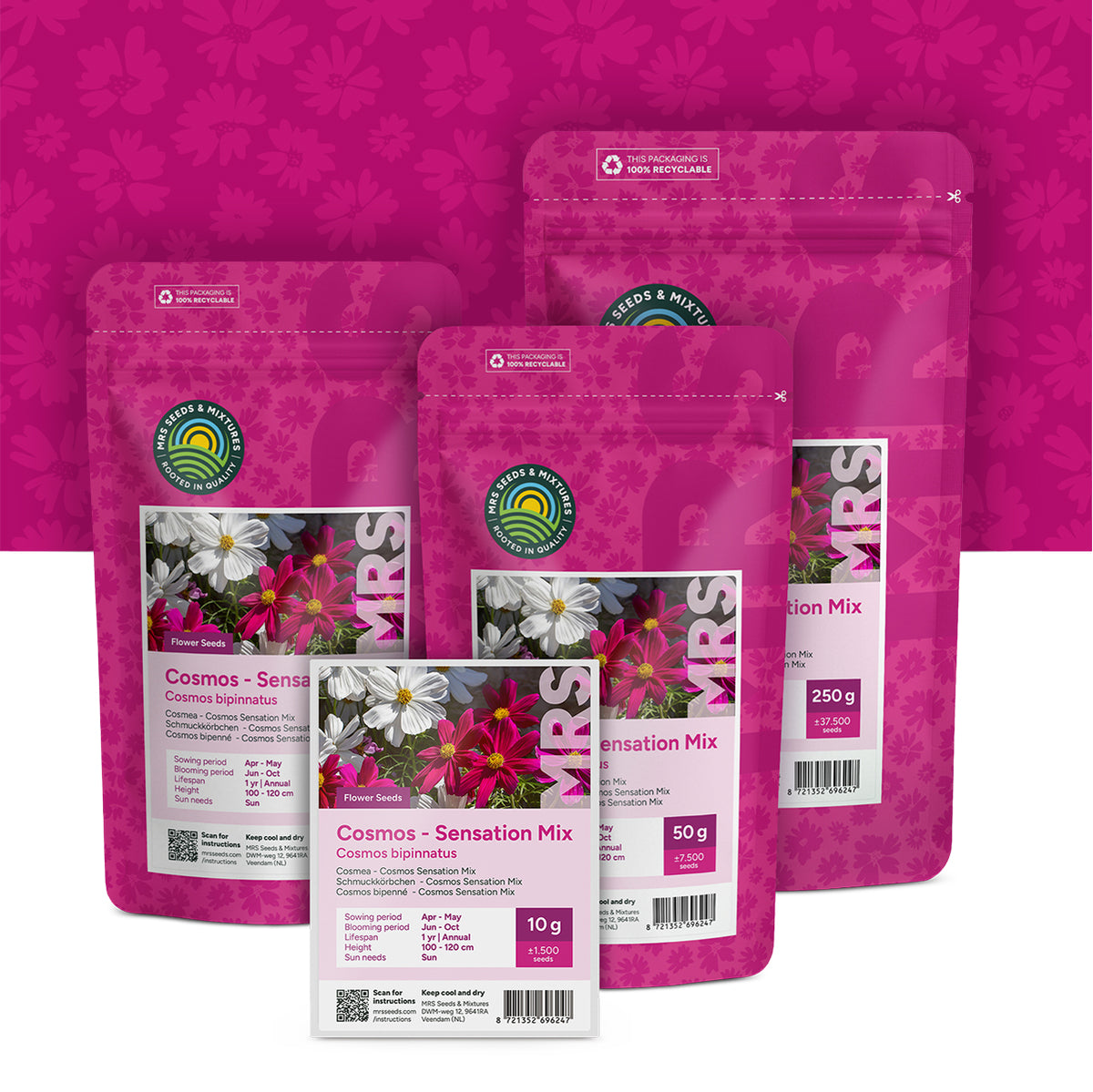 Cosmea – Cosmos Sensation Mix