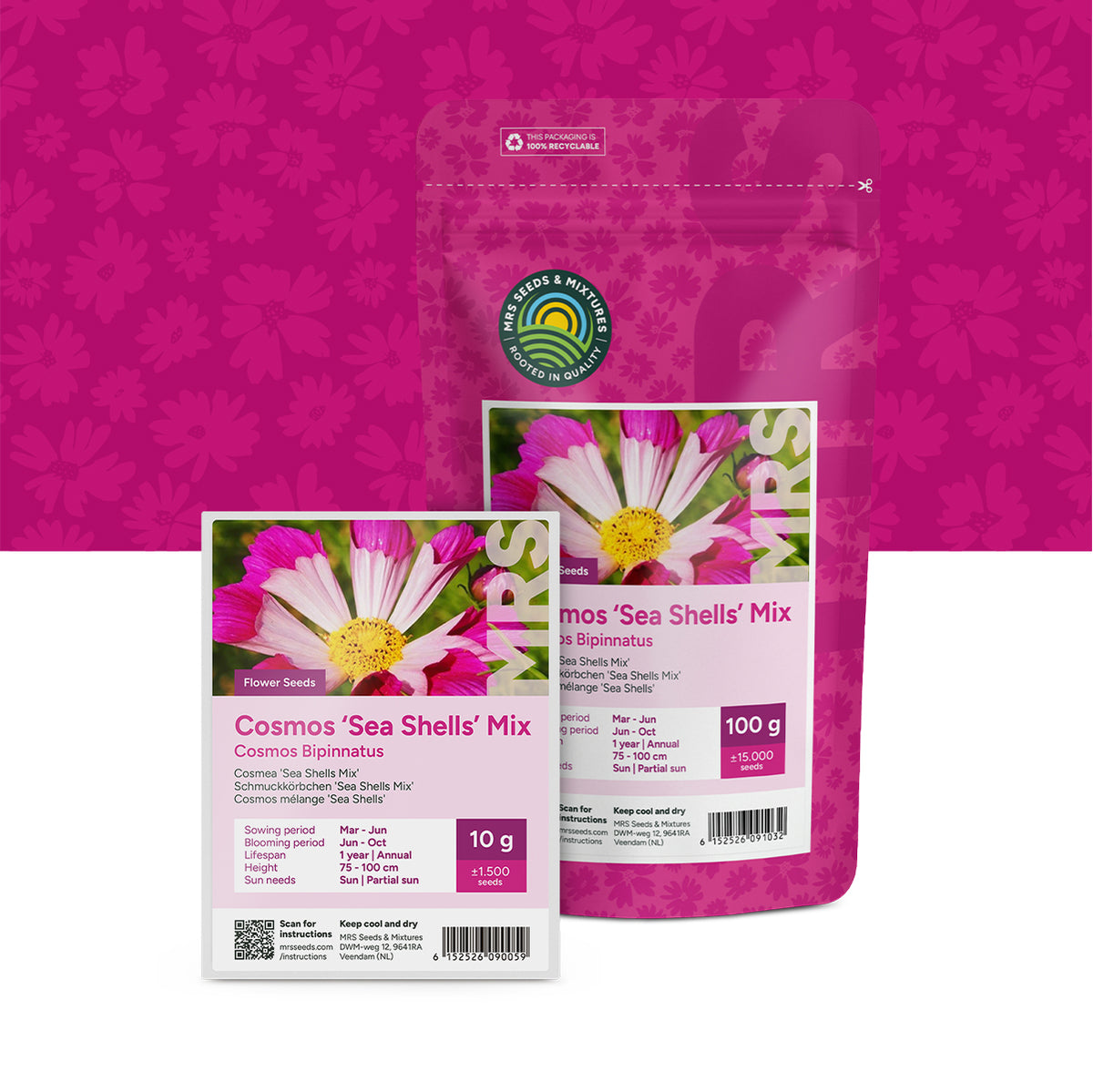 Cosmea – Cosmos 'Sea Shells' mix