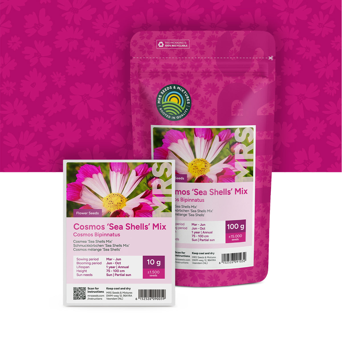 Cosmea – Cosmos 'Sea Shells' mix