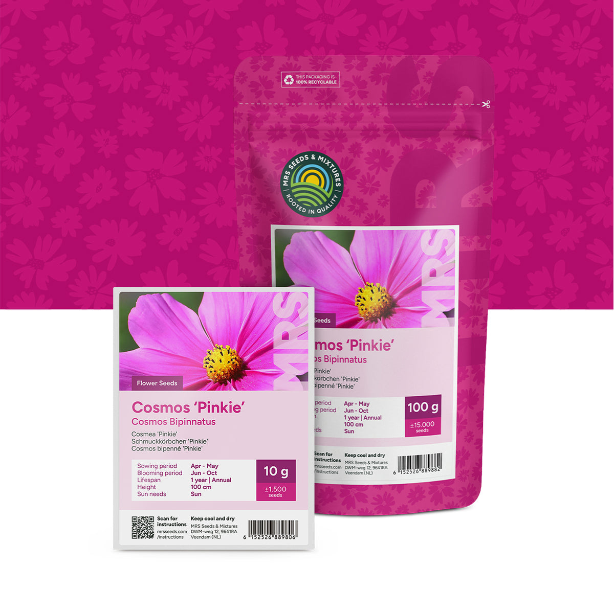 Cosmea bipinnatus 'Pinkie'