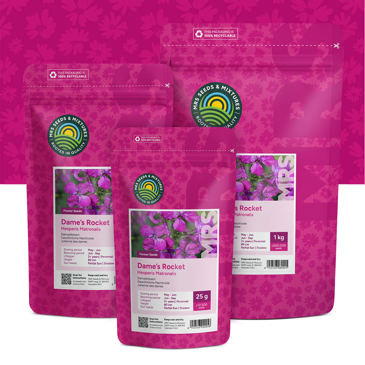 Damastbloem – Hesperis matronalis