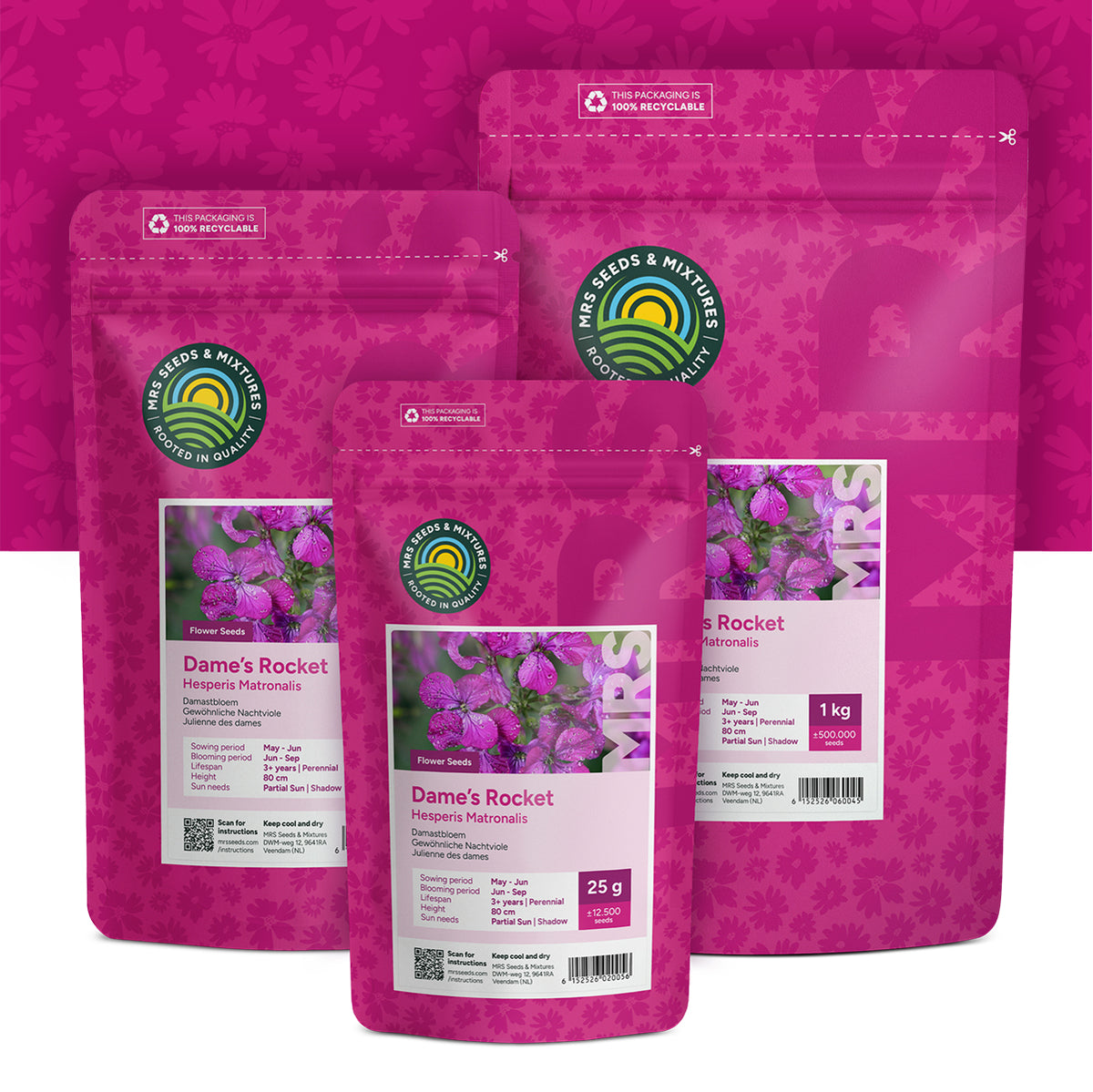Damastbloem – Hesperis matronalis