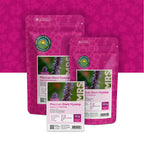 Dropplant – Agastache mexicana 'blue'