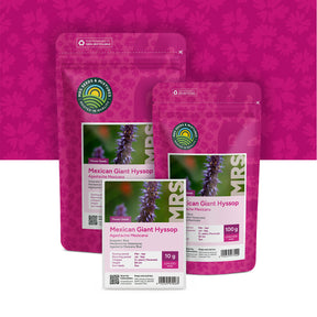 Dropplant – Agastache mexicana 'blue'