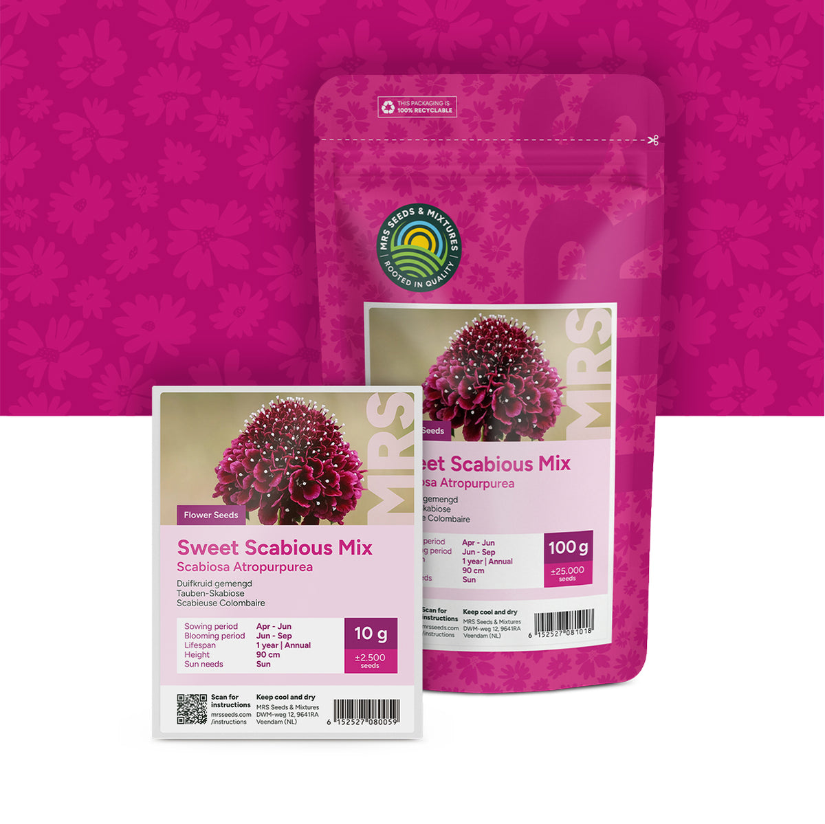 Duifkruid gemengd – Scabiosa atropurpurea