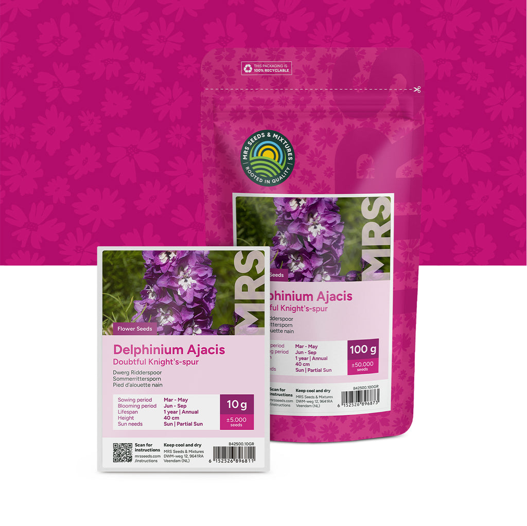 Dwerg Ridderspoor – Delphinium ajacis