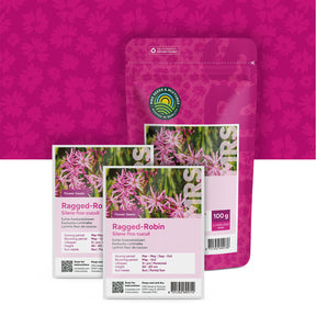 Echte Koekoeksbloem – Silene flos-cuculi