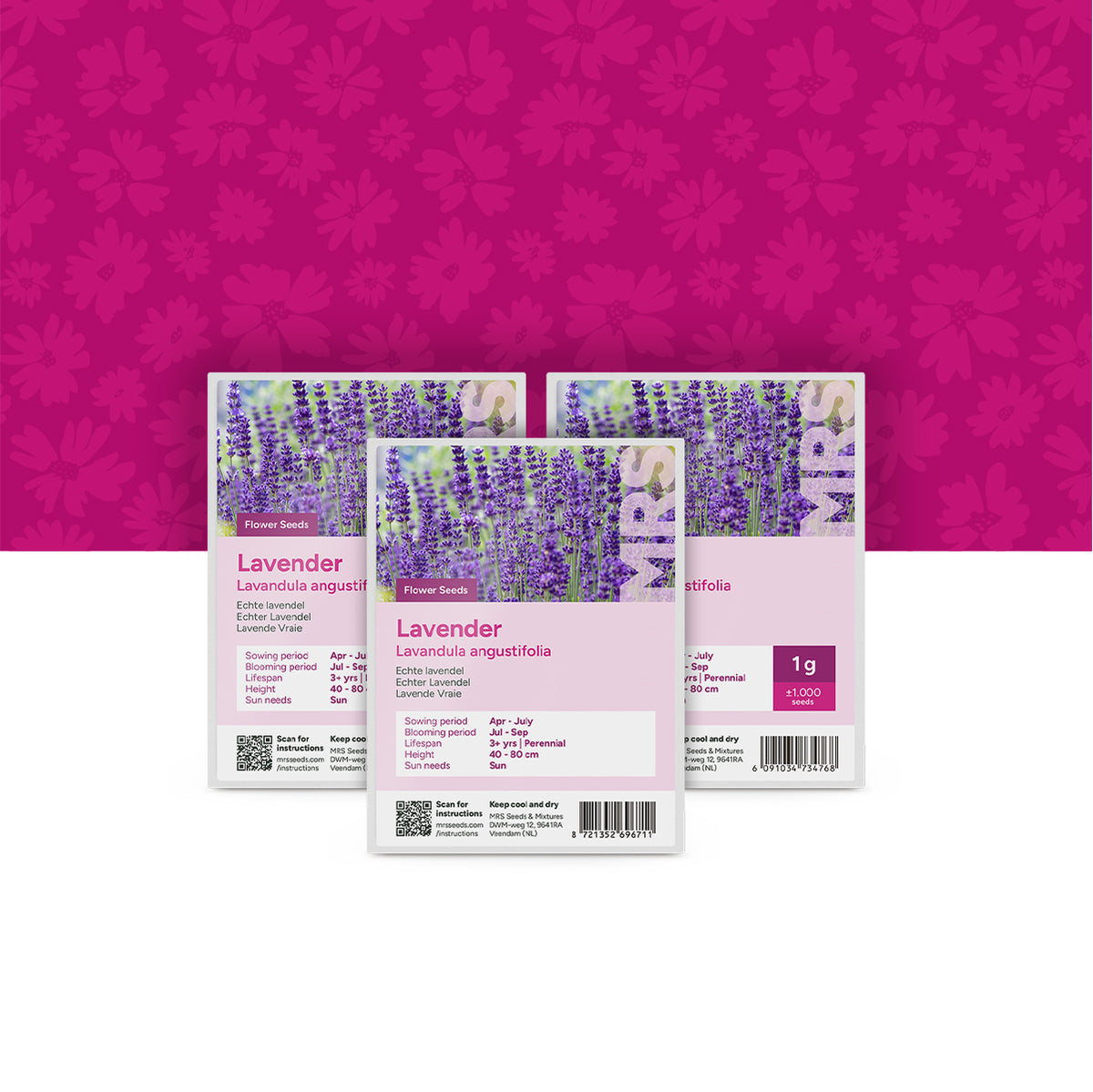 Echte Lavendel – Lavandula angustifolia