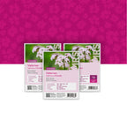 Echte Valeriaan – Valeriana officinalis