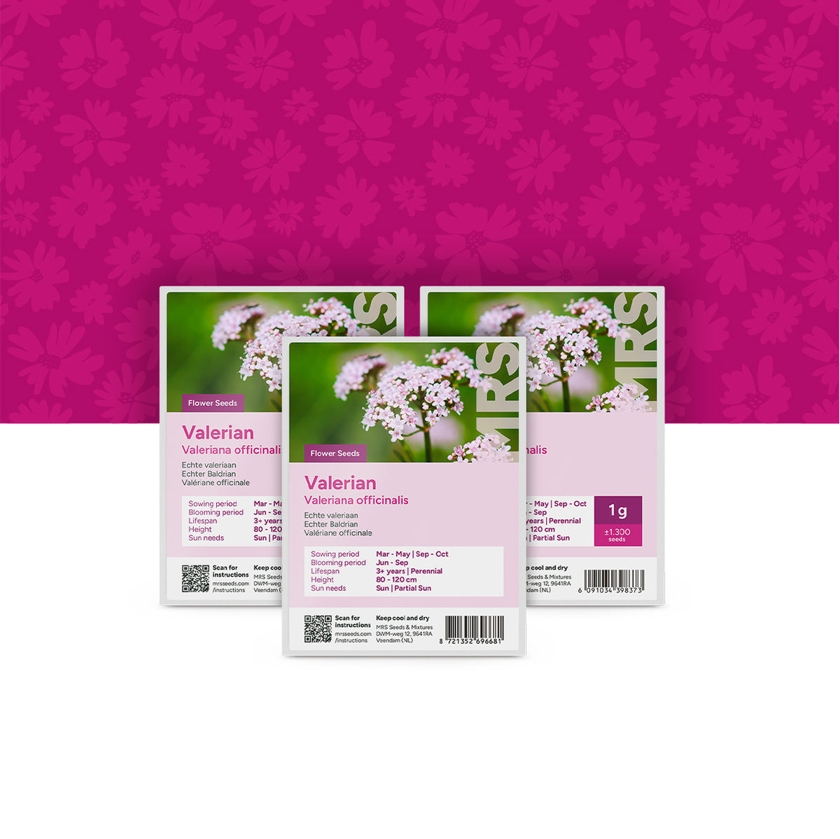 Echte Valeriaan – Valeriana officinalis