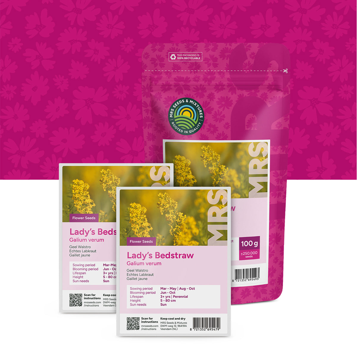 Geel walstro – Galium verum