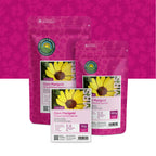 Gele Ganzenbloem – Chrysanthemum segetum