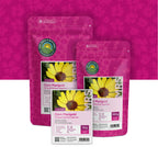 Gele Ganzenbloem – Chrysanthemum segetum