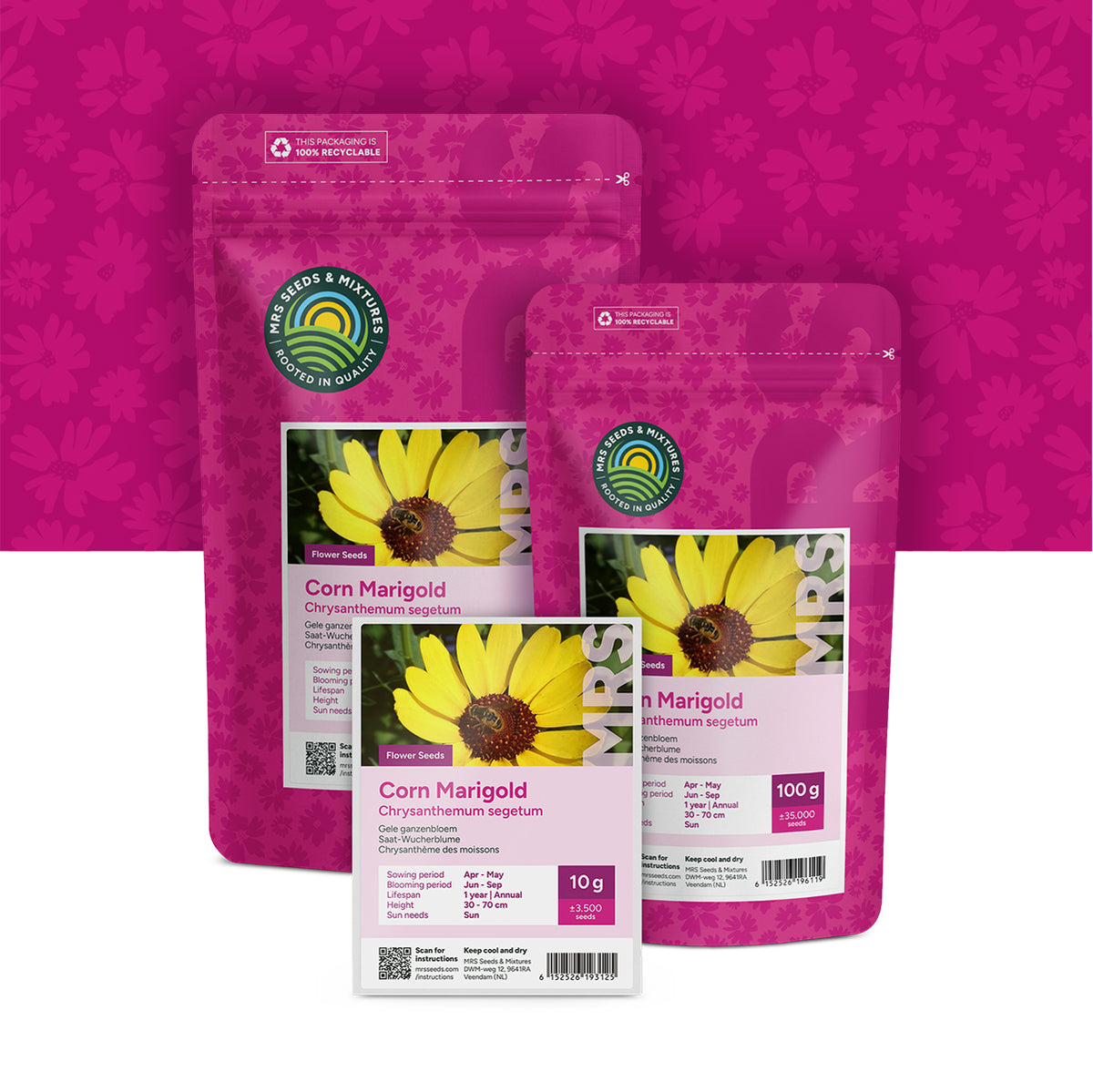 Gele Ganzenbloem – Chrysanthemum segetum