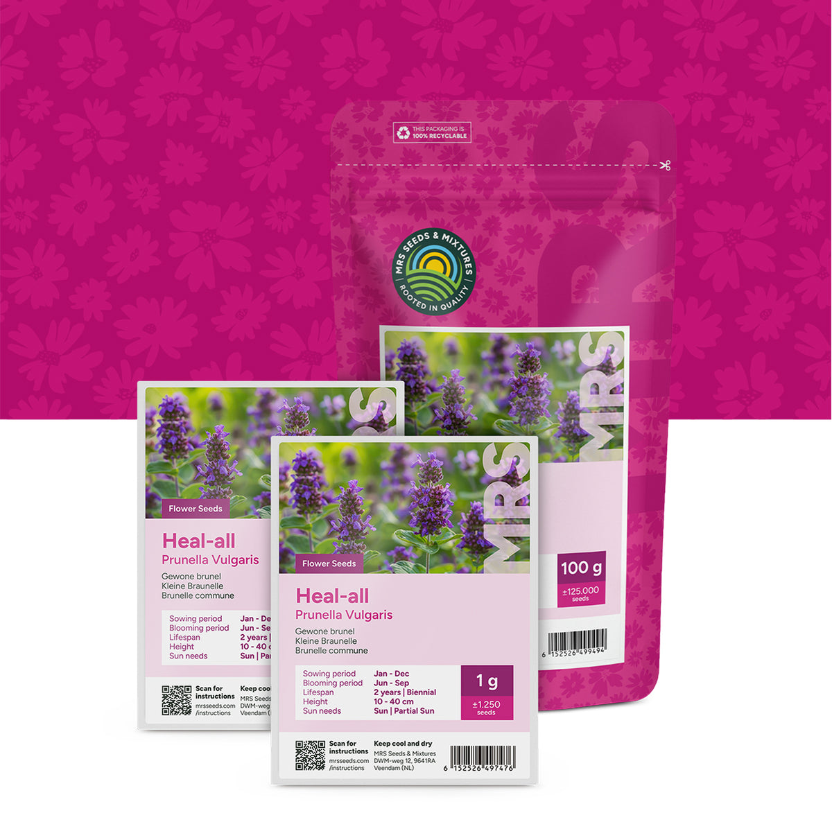 Gewone brunel – Prunella vulgaris