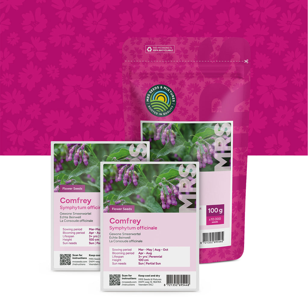 Gewone smeerwortel – Symphytum officinale