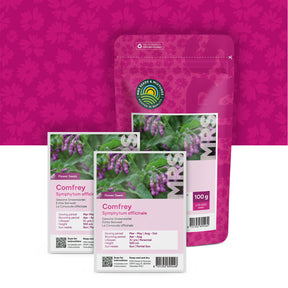 Gewone smeerwortel – Symphytum officinale