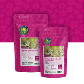 Gipskruid – Gypsophila elegans