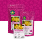 Goudsbloem 'Fiesta Gitana' gemengd – Calendula