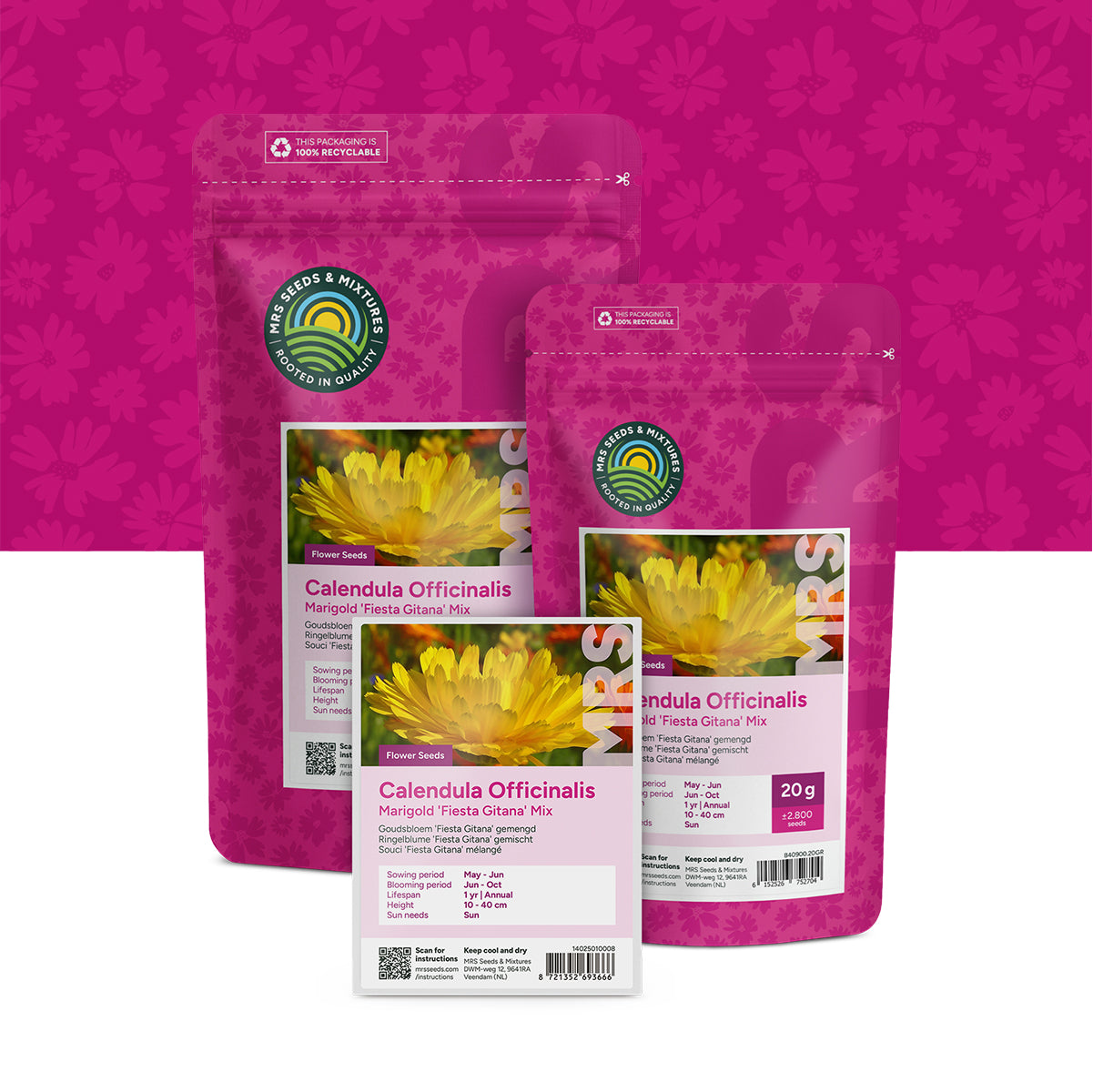 Goudsbloem 'Fiesta Gitana' gemengd – Calendula