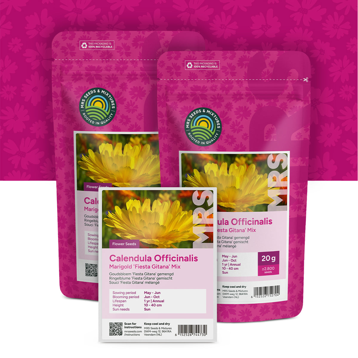 Goudsbloem 'Fiesta Gitana' gemengd – Calendula