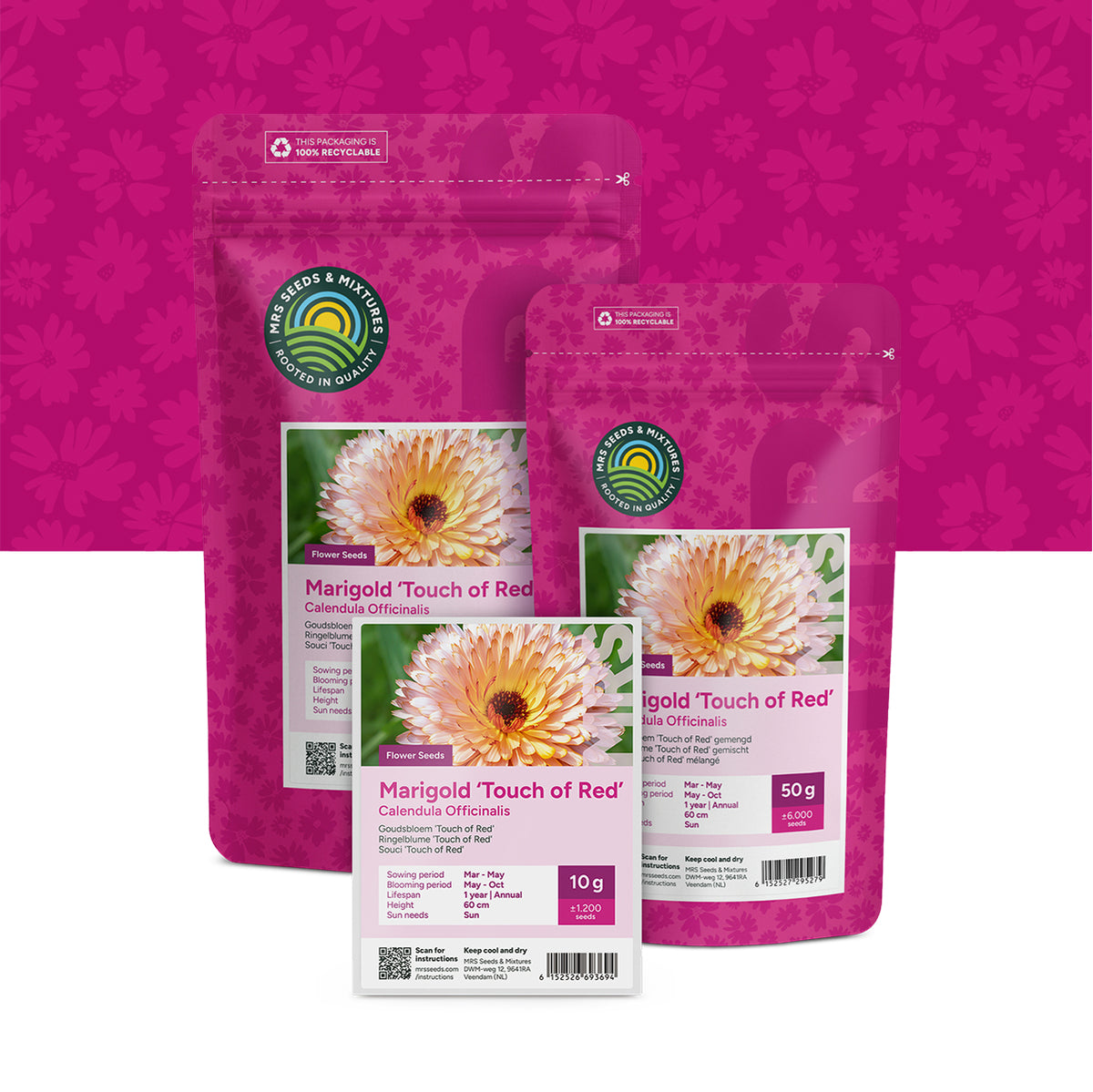 Goudsbloem 'Touch of Red' – Calendula