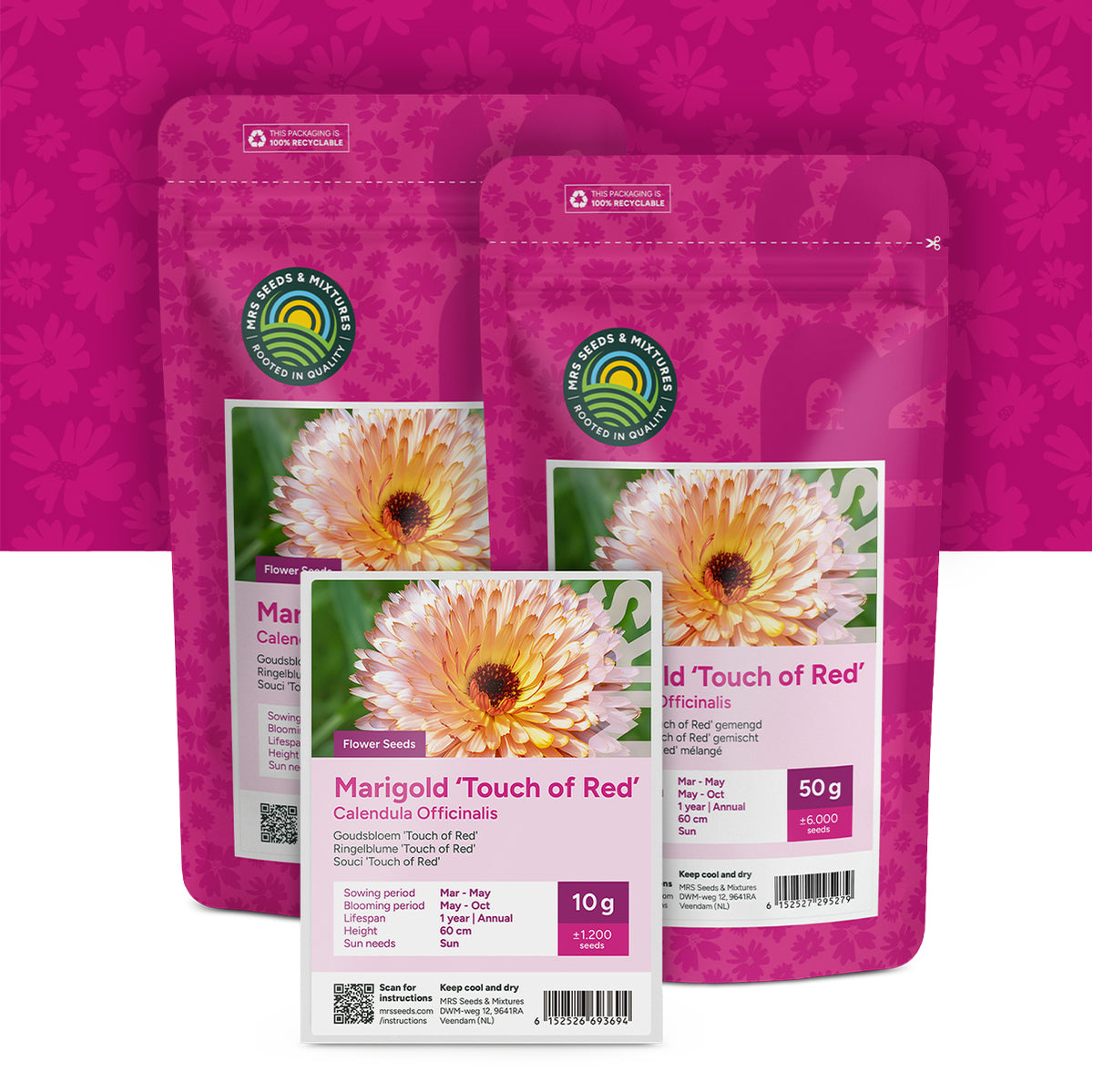 Goudsbloem 'Touch of Red' – Calendula