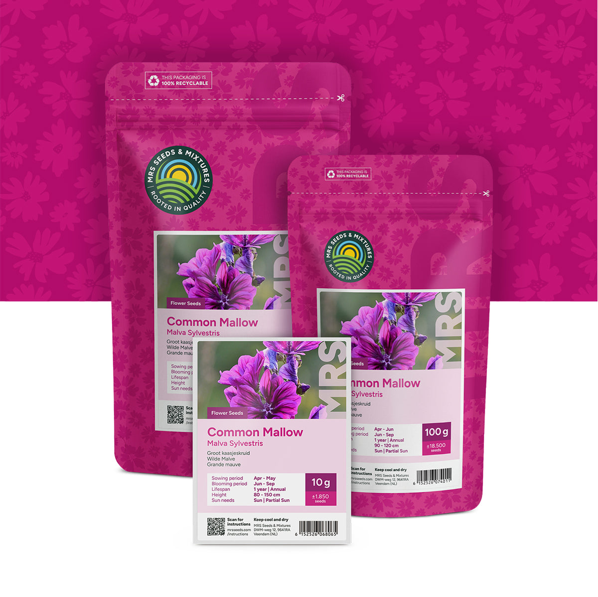 Groot Kaasjeskruid – Malva sylvestris