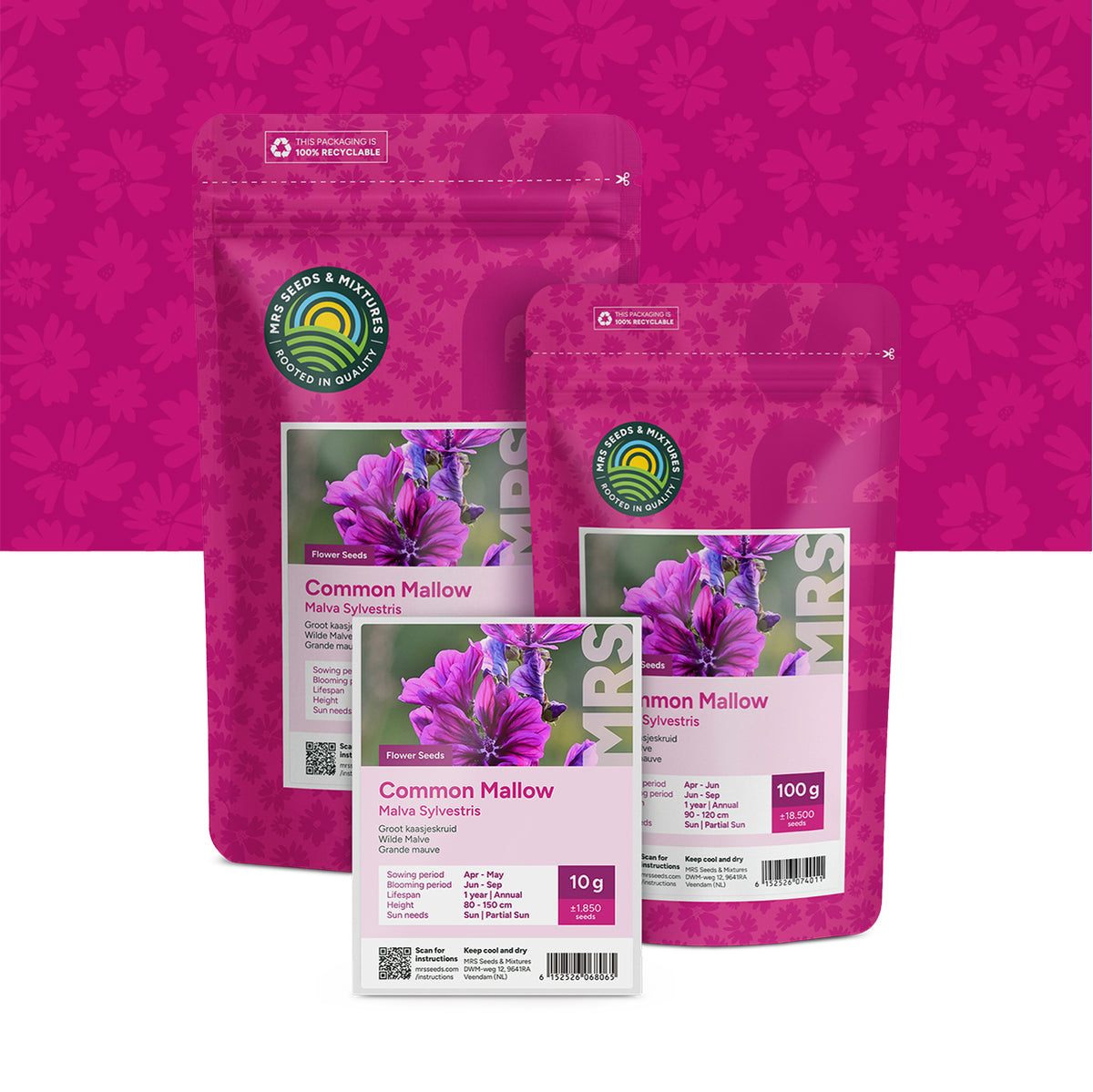 Groot Kaasjeskruid – Malva sylvestris