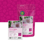 Grootbloemige Lavatera –  Lavatera trimestris