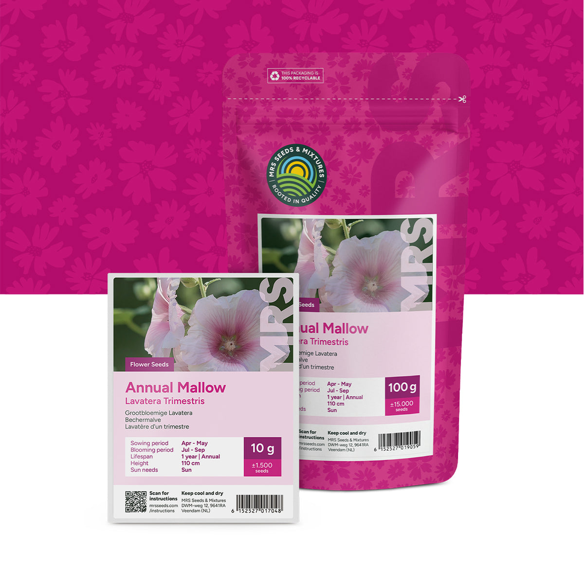 Grootbloemige Lavatera –  Lavatera trimestris