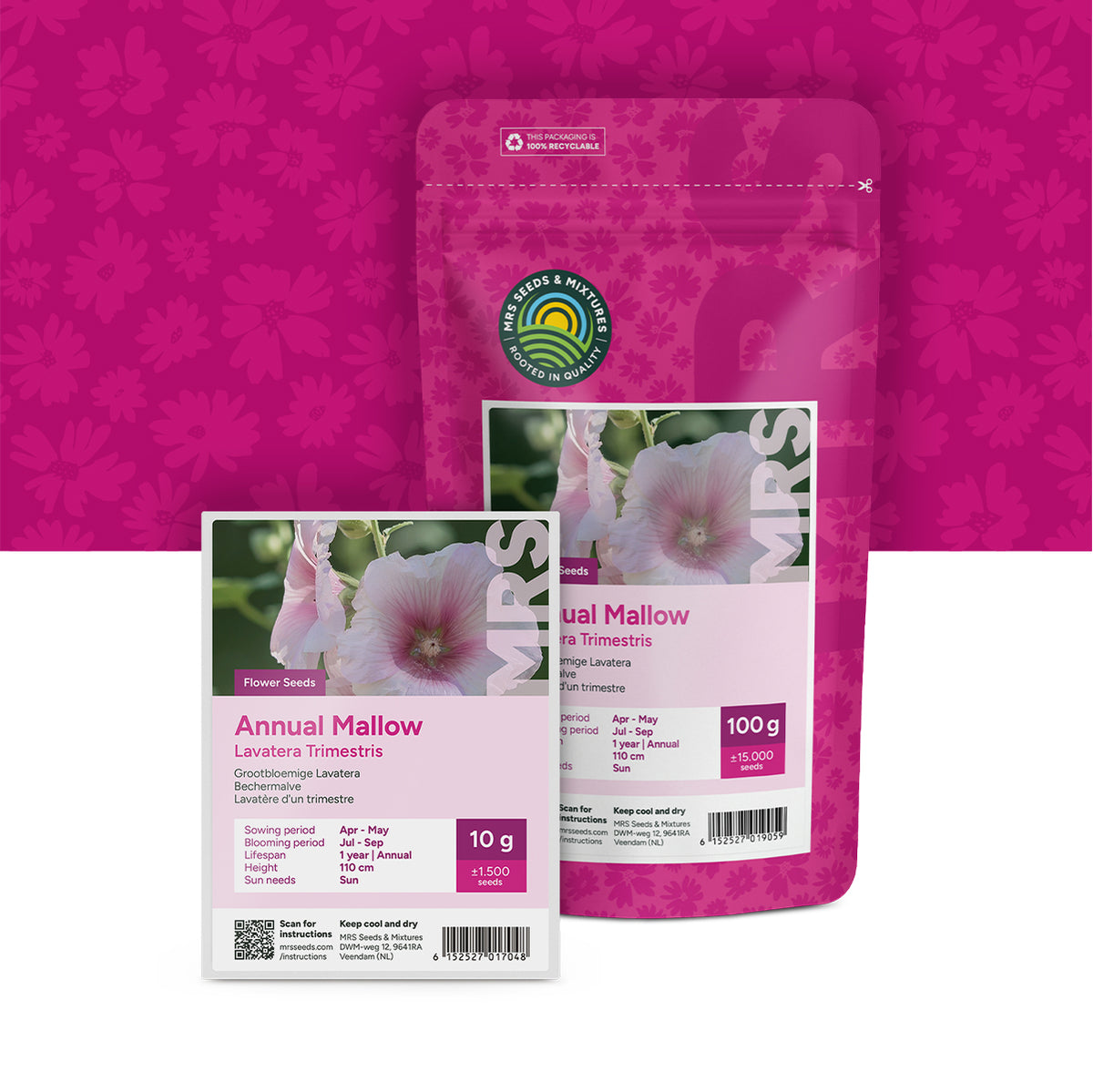 Grootbloemige Lavatera –  Lavatera trimestris