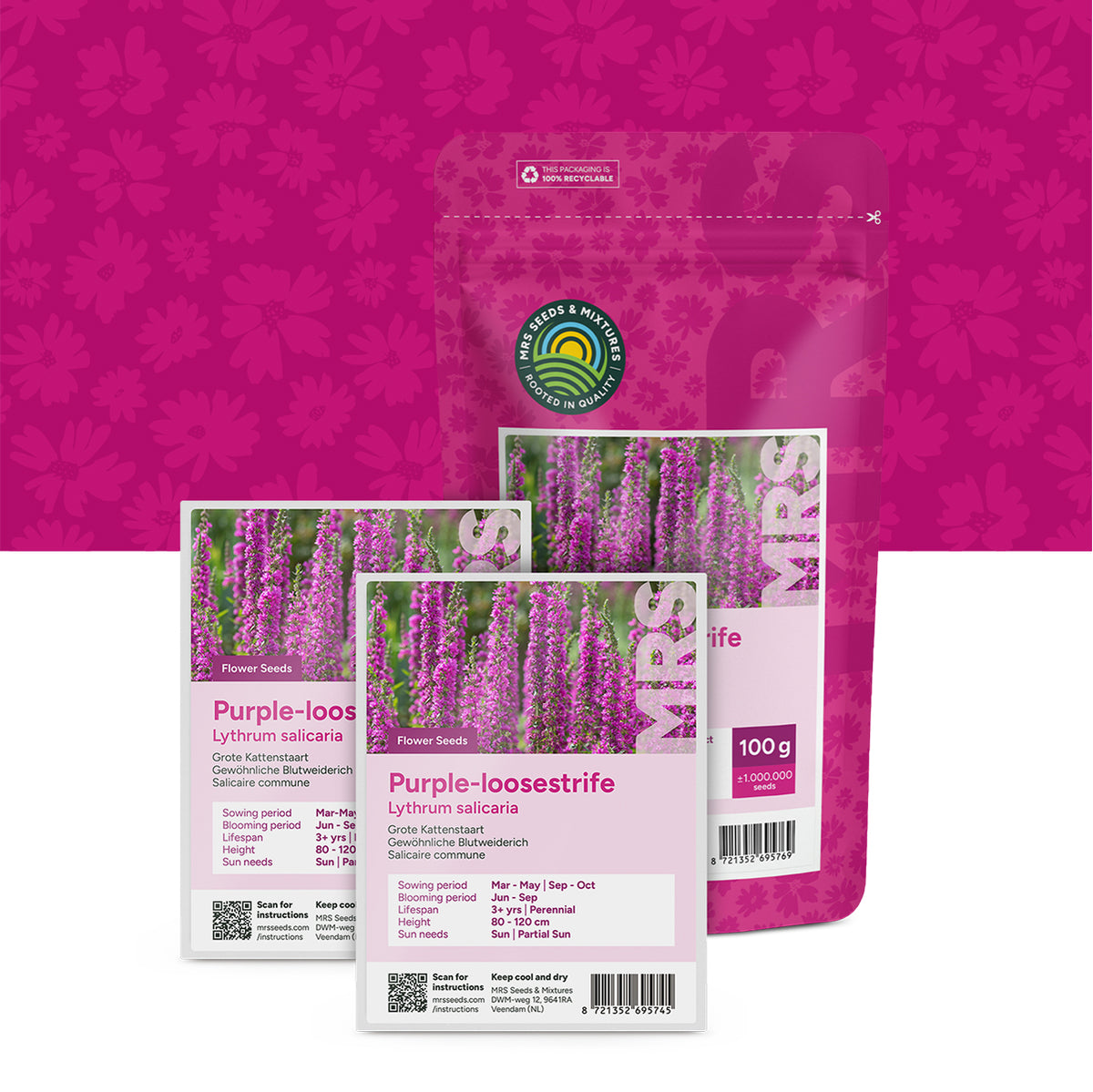 Grote Kattenstaart – Lythrum salicaria