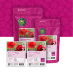 Grote Klaproos – Papaver rhoeas