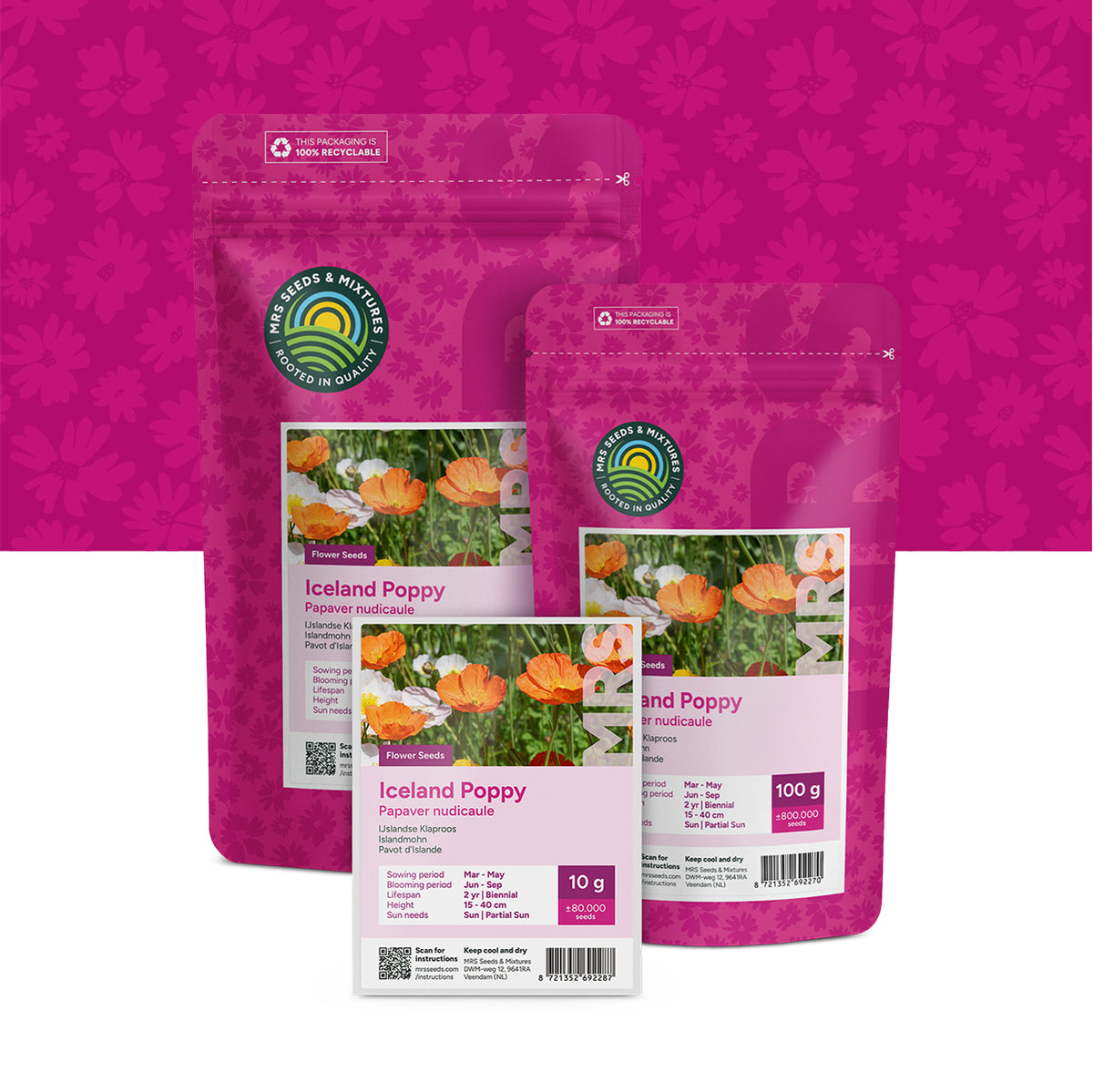 IJslandse Klaproos – Papaver nudicaule