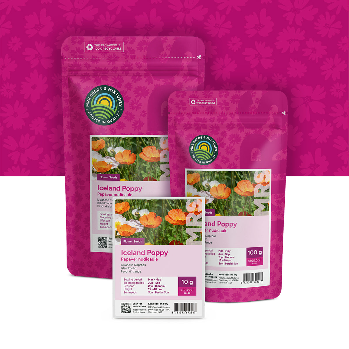 IJslandse Klaproos – Papaver nudicaule