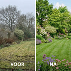 [nl]