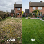 [nl]