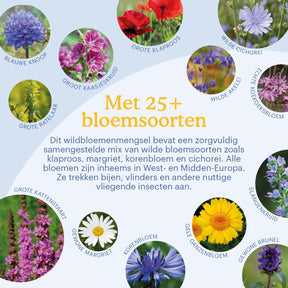 [nl]