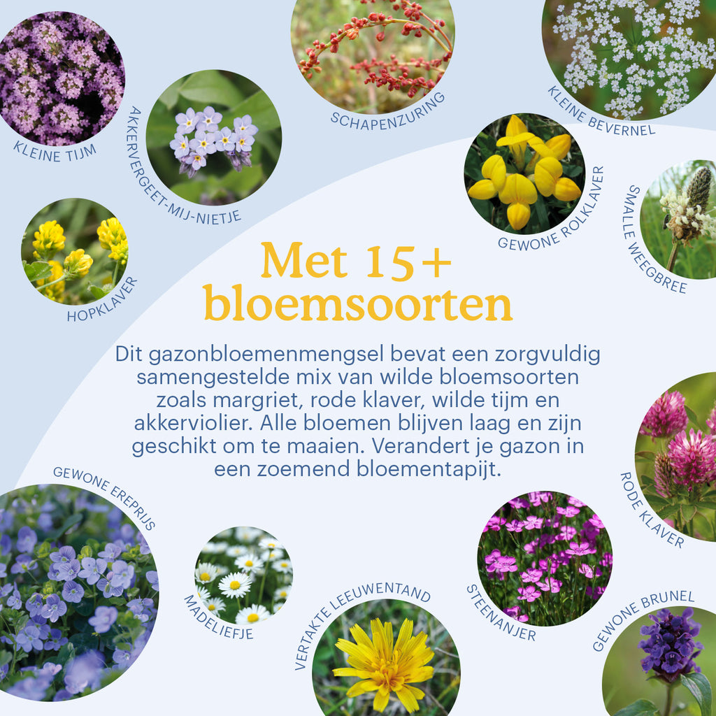 [nl]