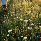 Friendly Flowers - Speelweidemengsel