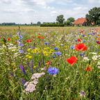 Joyfields regiomengsels Nederland - Regio Gelderland [nl]
