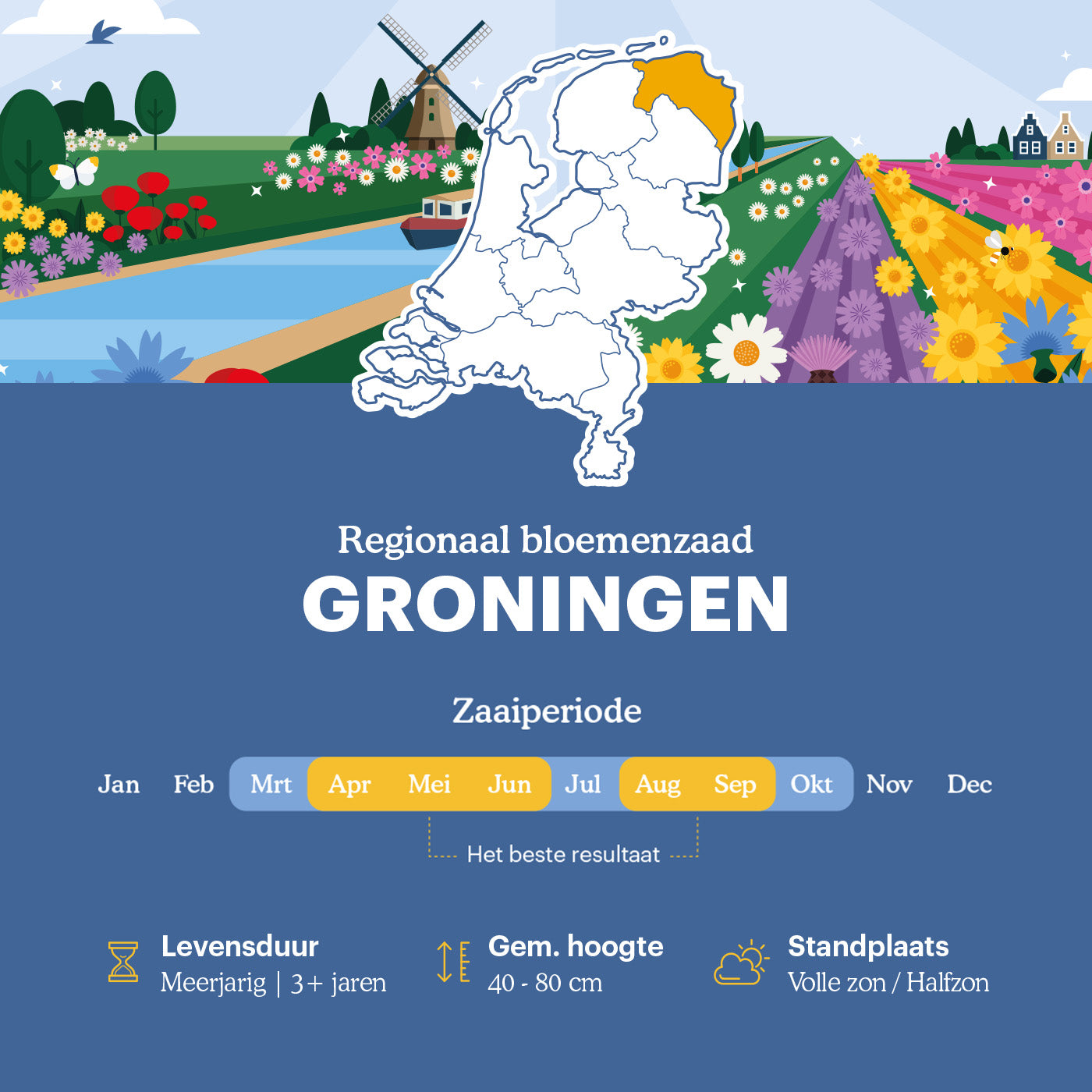 Joyfields regiomengsels Nederland - Regio Groningen [nl]