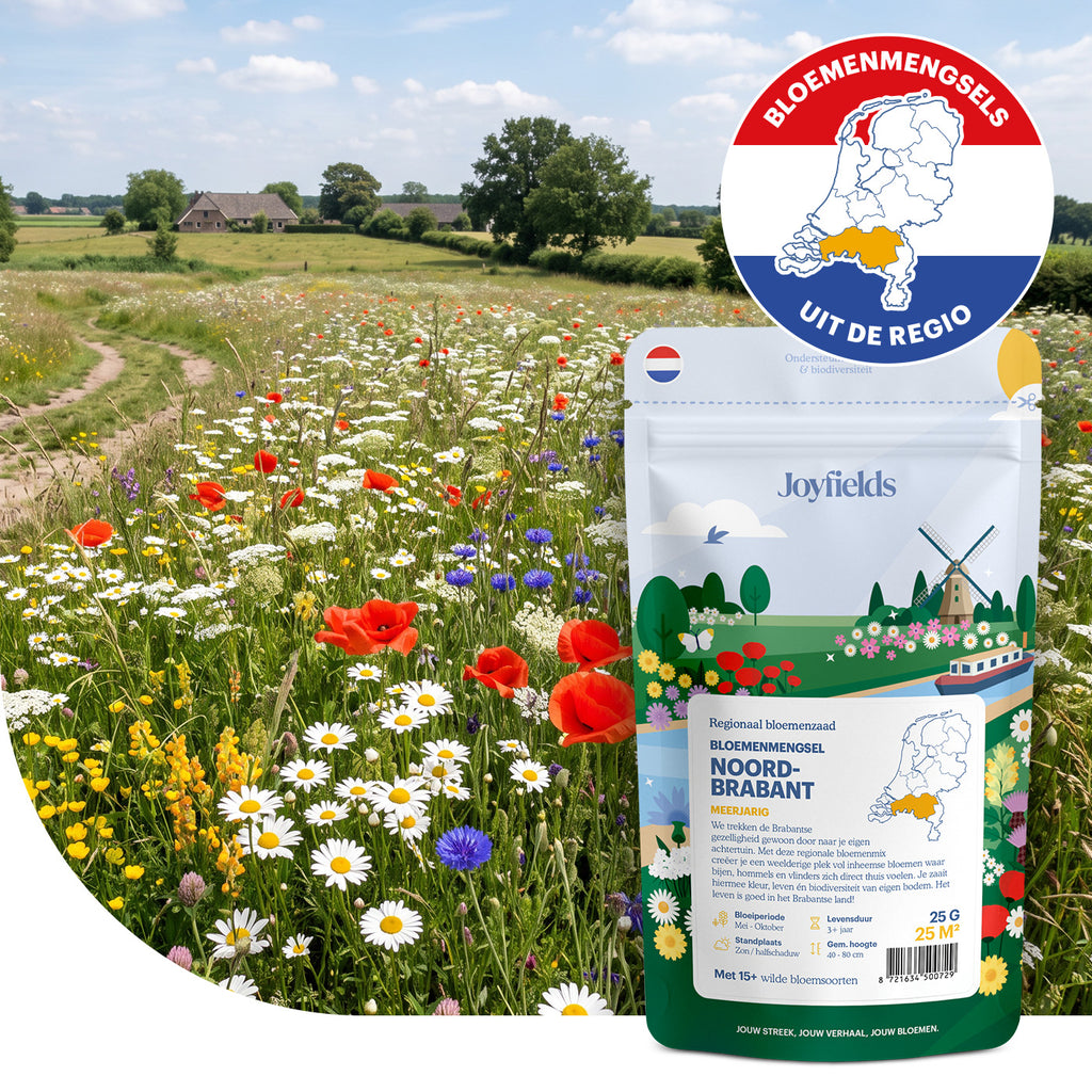 Joyfields regiomengsels Nederland - Regio Noord-Brabant [nl]